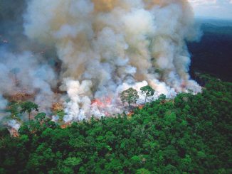 Amazon rainforest fires