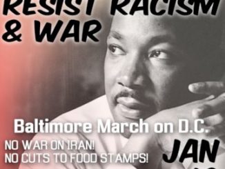 MLKweekendmarchtoDC2