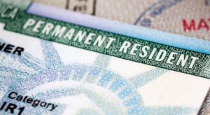 Thumb 910x0 greencard