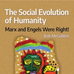 SocialEvolution McCubbin fi