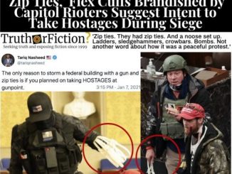 Zip ties capitol hostages