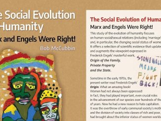 Socialevolution