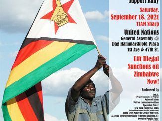 2021 09 18 zimbabwe rally at un 541x700px