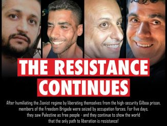 Signal 2021 09 11 071813