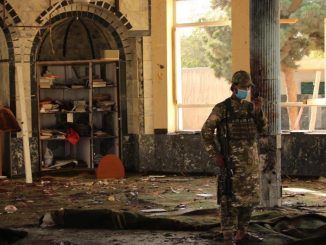 1310232696 16337355641681n