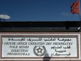 OCP Morocco phosphate
