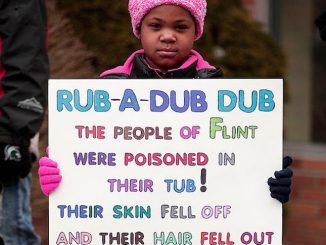 Flintwaterprotest