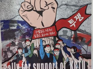 289314635 537002124632583 5658552741153491815 n