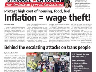 15SLL01August2022720