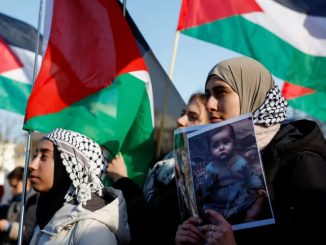 PalestineHagueprotest