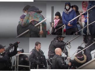 Screenshots Embarcadero