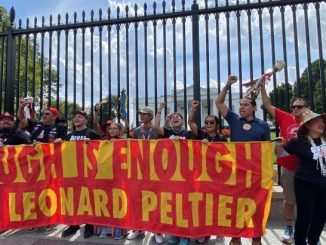 6639088ae91a1.preview