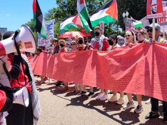 Photo 2024 06 08 15 33