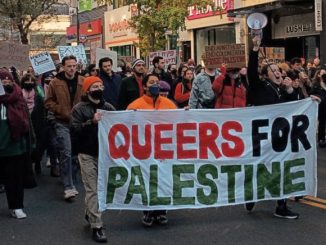 Queersforpalestine