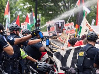 6d33e7d0 49f8 11ef aebc 6de4d31bf5cd