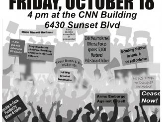 463606434 1139202967745826 5720848289825397484 n