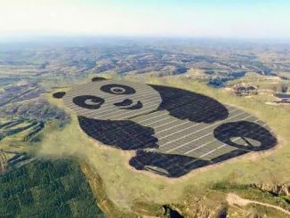 Panda solar farm