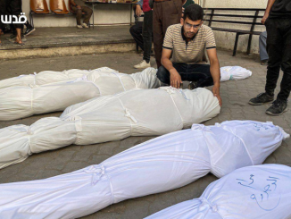 GazaMassacres Day342 QNN