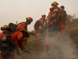 Firefighters