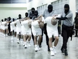 Migrants 1 768x433 1