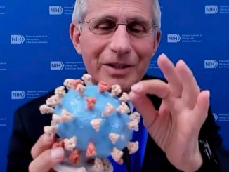 Fauci virus wsj