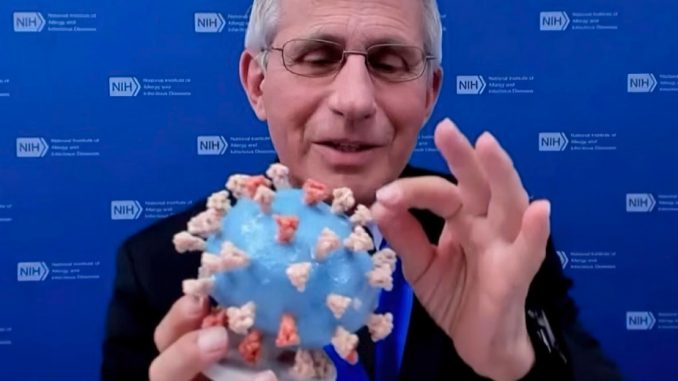 Fauci virus wsj