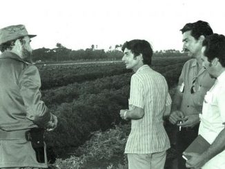 Fidel en el campo 2