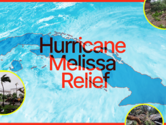 10 29 8f190c096d82774c974a9f5707420c50d0171e340739c00b9d1f054cd5e3dcbb