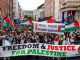 FreedomForPalestine
