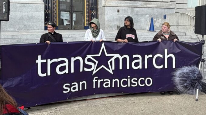 Trans March flag 1024x534
