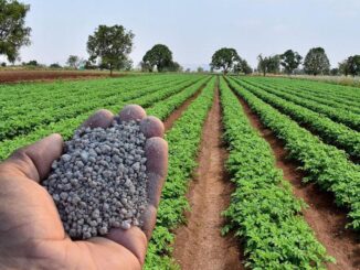 Fertilizer