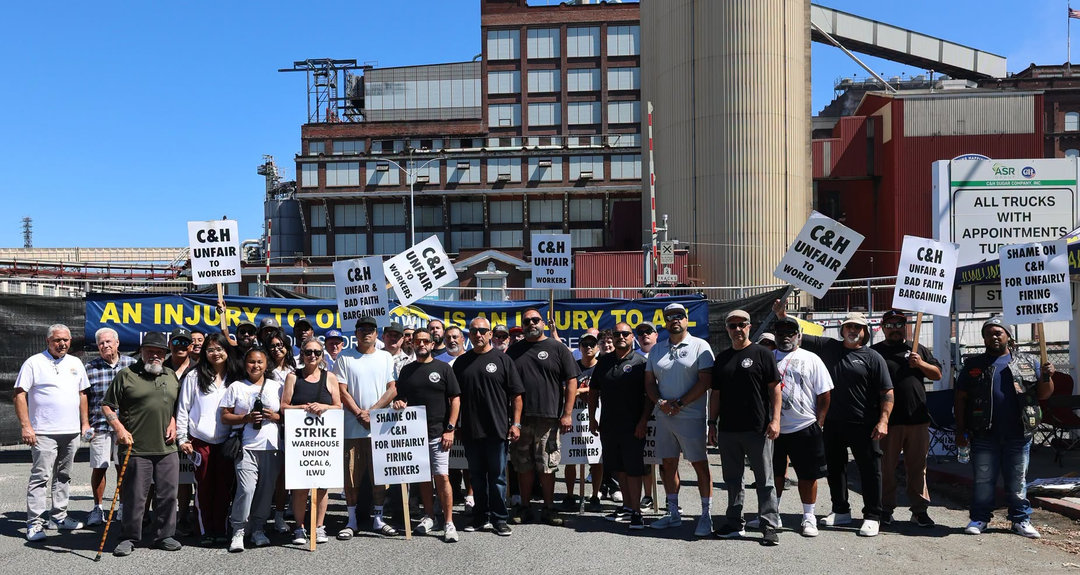 C&H picket2