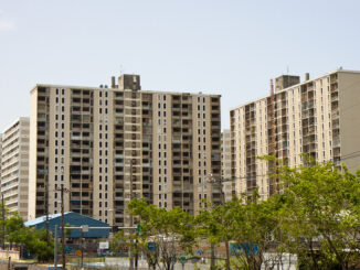 Las Gladiolas